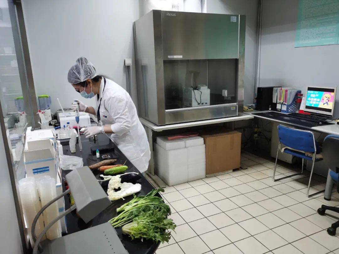 汉寿食品检测实验室装修方案